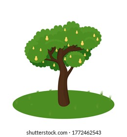 Pear tree single, bright and green isolated on white background. Harvest, gardening concept stock vector illustration. Summer fruits.