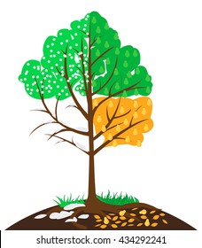 Pear tree symbolizing the change season the year