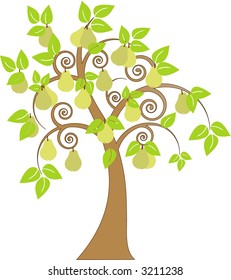 pear tree vector