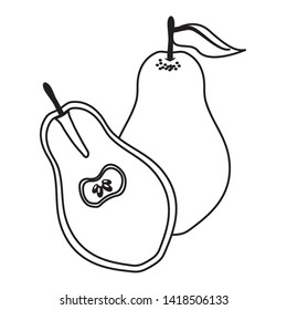 pear tropical vector illustration on white background