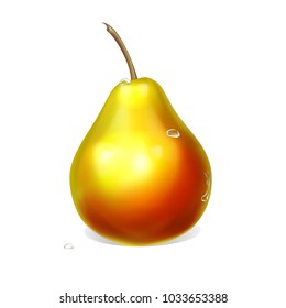 pear vector 3D realistic vector illustration of a drop of water