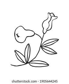 Pear. Vector drawing for cards, posters, stickers, textile of apparel, kids bedroom decor. 