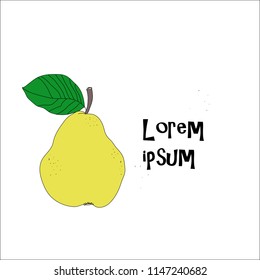 Pear vector drawing. Isolated hand drawn full pear.