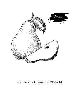 Pear vector drawing. Isolated hand drawn pear and sliced pieces.  Summer fruit engraved style illustration. Detailed vegetarian food sketch. Great for label, poster, print, menu