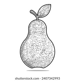 pear vector engraving style hand drawn black and white icon