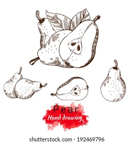 Pear, vector hand drawing