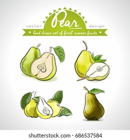 Pear. Vector hand drawn collection of sketch fresh fruits illustration. Isolated