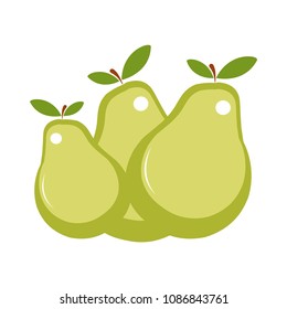 Pear vector illustration 