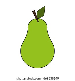 pear vector illustration