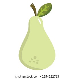 pear vector illustration design element
