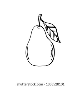 Ilustración del vector de peras doodle dibujado a mano en blanco y negro