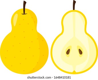 Pear vector illustration, fruit, sweet