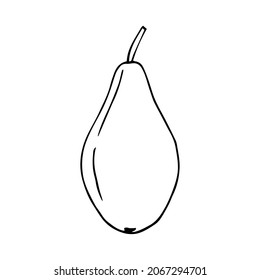 Pear vector illustration, hand drawing doodle