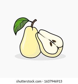 Pear vector illustration isolated for all purpose