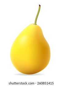 pear vector illustration isolated on white background