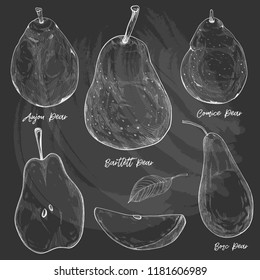 pear vector illustration set. chalk drawing style. blackboard background.