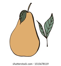 Pear. Vector illustration. Tasty fruit.