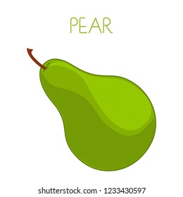 Pear. Vector image on isolated background