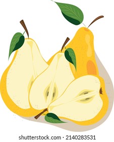 pear vector image. Yellow pear. Two yellow pears. half a pear

