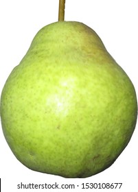 pear vector isolated on white background