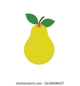 Pear vector on white background
