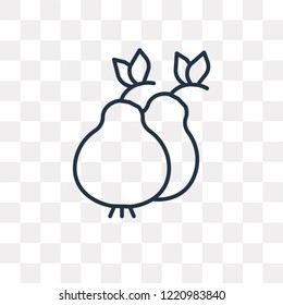 Pear vector outline icon isolated on transparent background, high quality linear Pear transparency concept can be used web and mobile