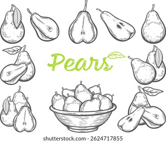 Pear vector set fruit organic food vegetarian snack engraving collection hand drawn illustration black white isolated vintage line art sketch silhouette graphic style poster label web