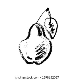Pear vector sketch icon isolated on background. Hand drawn pastel illustration for infographic, website or app.