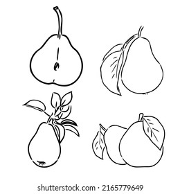 Pear vector sketch icon isolated on background. Hand drawn Pear icon. Pear sketch icon for infographic, website or app.