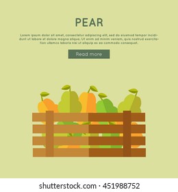 Pear vector web banner. Flat design. Illustration of wooden box full of fresh and ripe fruits on color background for grocery shop, farm, agricultural company web page design. 