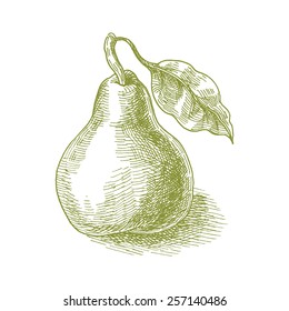 Pear, Vintage Graphics