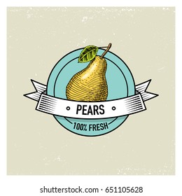 Pear Vintage, hand drawn fresh fruits background, summer plants, vegetarian and organic citrus and other, engraved.