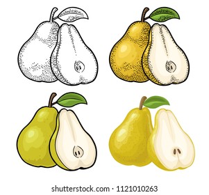 Pear whole and half with leaf. Vintage color engraving and flat illustration for poster, web. Isolated on white background.