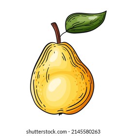 Amarillo perecedero, dibujado a mano, ilustración vectorial, vintage, sobre fondo blanco.