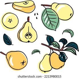 Peare set: pear, pear slice, leaves, branch. Colorful fruits. Vector linear illustration