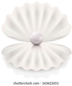 Pearl abstract vector illustration with reflection and shadow eps 10 . pearl