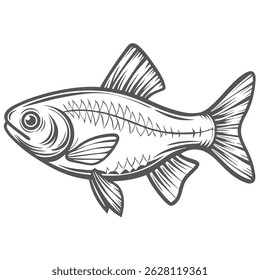 Pérola Danio Fish Vetor Ilustração, Linha Art