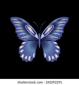 pearl Lace butterfly on black background.  Vector illustration.