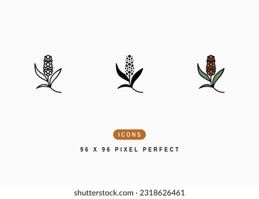 Pearl Millet Icon. Pennisetum Americanum Symbol Stock Illustration. Vector Line Icons For UI Web Design And Presentation