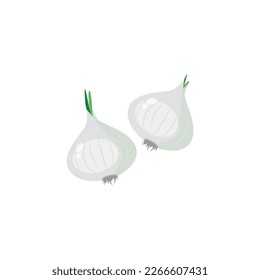 The pearl onion also known as button, baby or silverskin onions. Vector illustration isolated on white background. For template label, packing, web, menu, logo, textile, icon