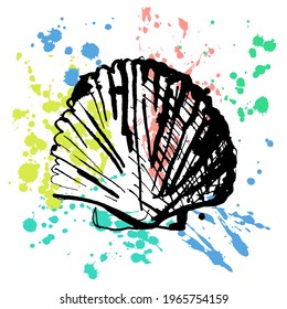 The Pearl Oyster Shell is linear Drawn on an abstract colorful Background with Splashes and Drops. The concept of Underwater life, Wildlife, Shells, Exotic, Sandy Beach, Summer. Vector illustration.