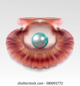 Pearl realistic in open sea shell on white background. Beautiful 3D orb with transparent glares and highlights for decoration. Jewelry gemstones. Vector Illustration for your design and business.