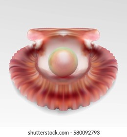 Pearl realistic in open sea shell on white background. Beautiful 3D orb with transparent glares and highlights for decoration. Jewelry gemstones. Vector Illustration for your design and business.