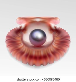 Pearl realistic in open sea shell on white background. Beautiful 3D orb with transparent glares and highlights for decoration. Jewelry gemstones. Vector Illustration for your design and business.