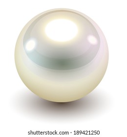 Perle, realistische Vektorgrafik