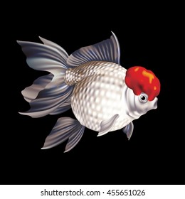 Oranda Goldfish Stock Vectors Images Vector Art Shutterstock