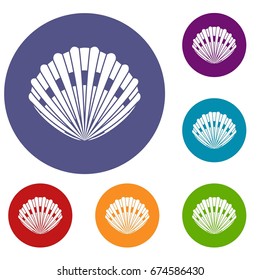Pearl shell icons set in flat circle reb, blue and green color for web