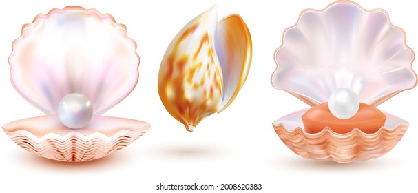 Pearl shell isolated on white background. Valuable oyster seashell  set. Realistic expensive art. Vector illustration.