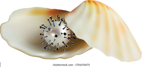 Pearl in shell transform to corona virus.  Isolated on white background. Realistic vector.