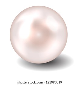 Pearl vector illustration
